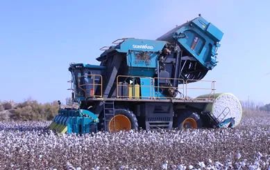 科技赋能农业强国建设！永利集团官网智能这个人工智能项目入选《湖南省“数字新基建”100个标记性项目名单》